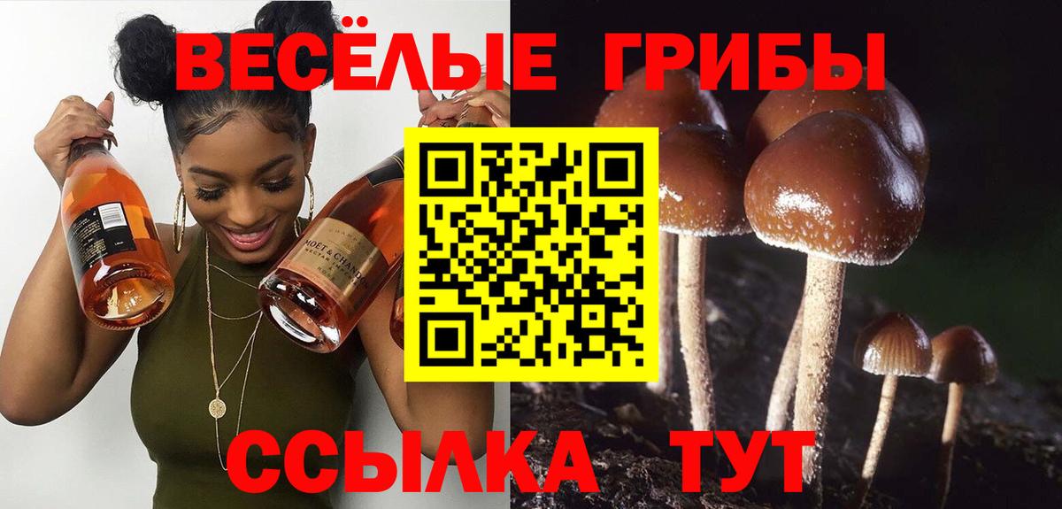 Псилоцибиновые грибы Magic Shrooms Людиново